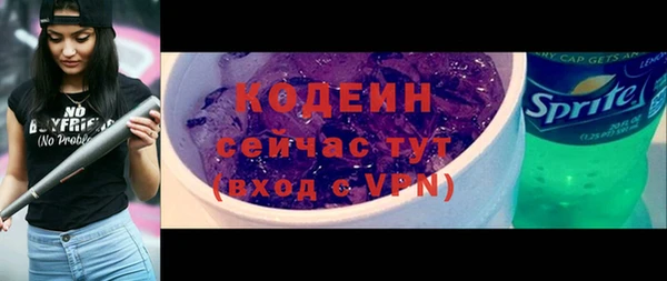 спиды Горняк